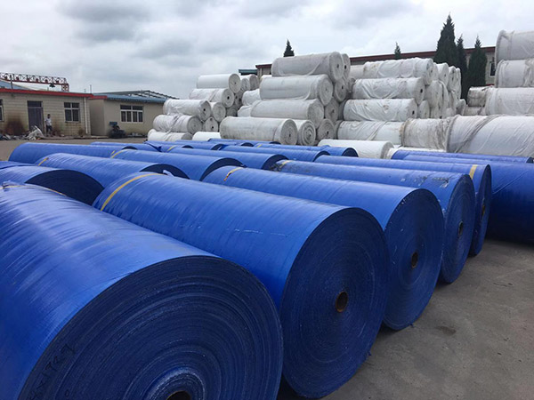 PE Fabric Roll